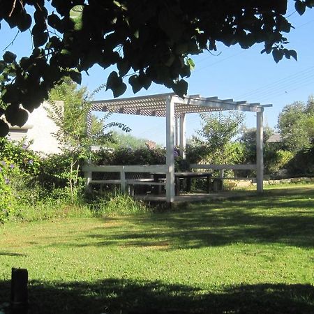 דירות נווה אילן The House By The Mulberry Tree מראה חיצוני תמונה