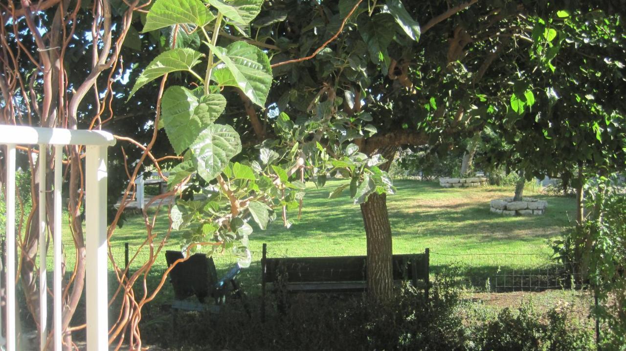 דירות נווה אילן The House By The Mulberry Tree מראה חיצוני תמונה