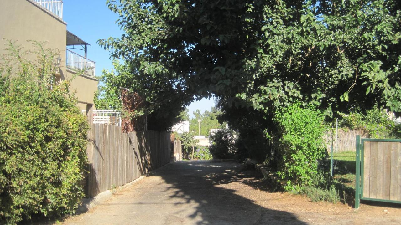 דירות נווה אילן The House By The Mulberry Tree מראה חיצוני תמונה